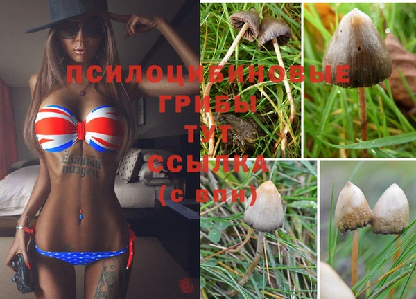 прущий лед Краснослободск