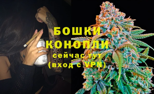 прущий лед Краснослободск