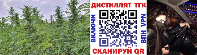 blacksprut ссылки Малгобек ТГК вейп с тгк цена наркотик
